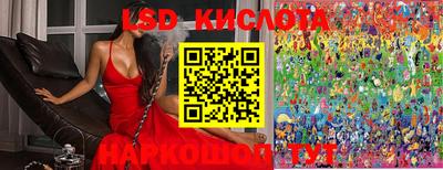 индика Ливны