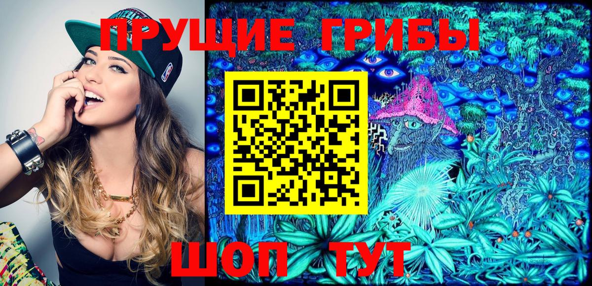 Галлюциногенные грибы MAGIC MUSHROOMS  Вход с VPN  Заволжье 